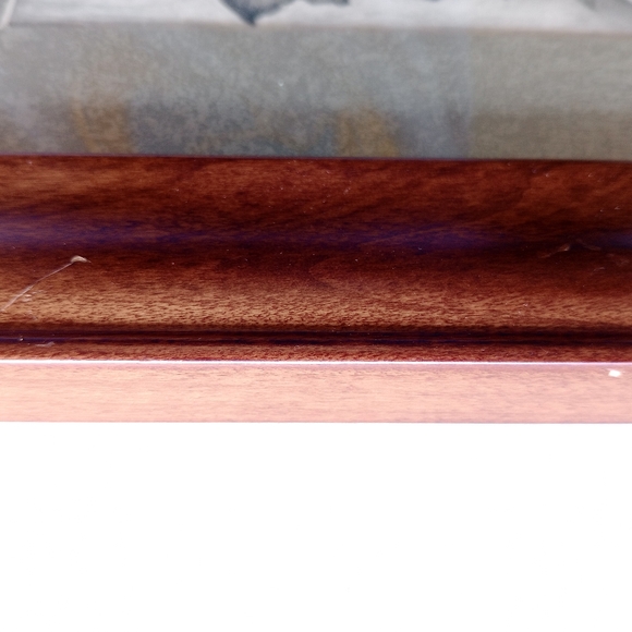 Framed Original Original Drawing of Desert Rose Floral Artwork. Signed by Artist - Picture 12 of 16